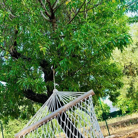 Lägenhet La Dimora Di Afrodite Monopoli